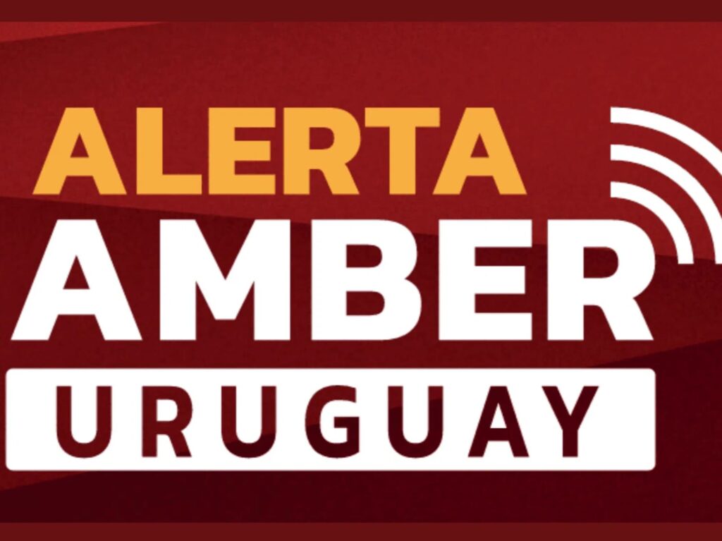 El ministro Carlos Negro celebró la implementación de Alerta Amber