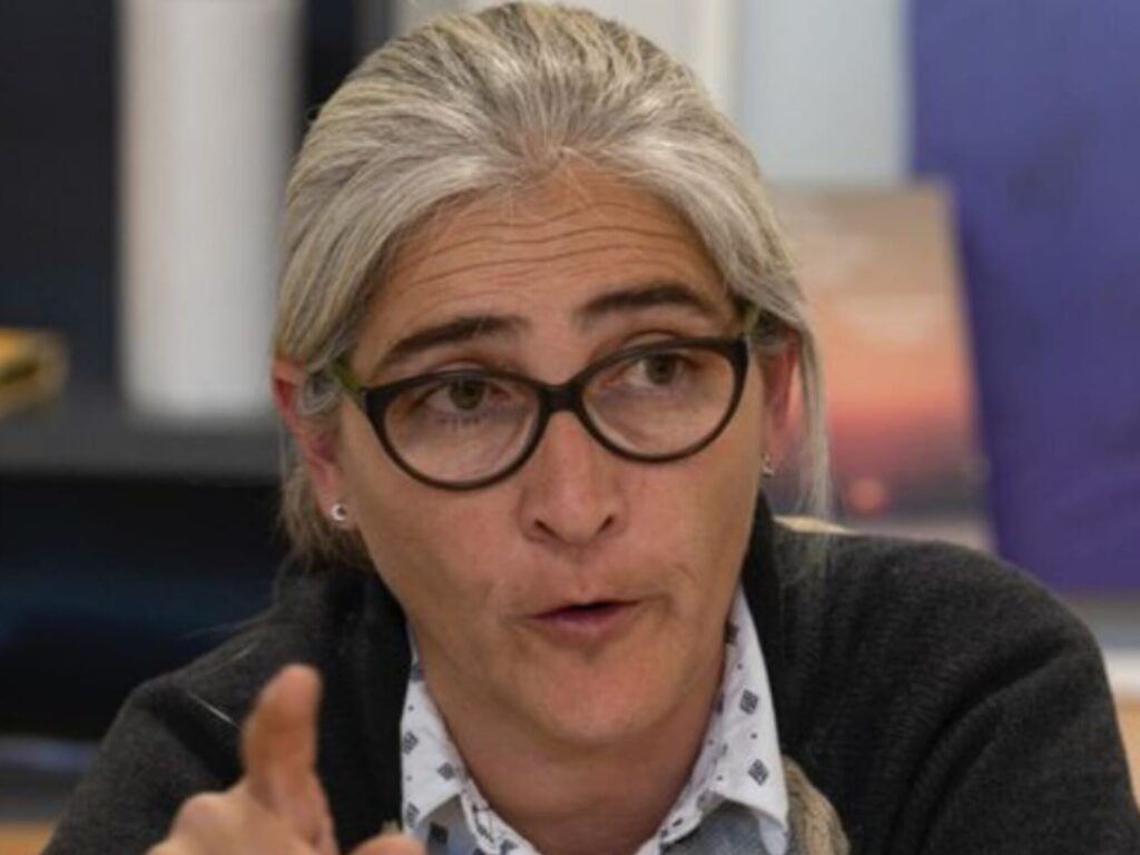 Lucía Etcheverry dijo que la Guía Electrónica de Carga debe "ser beneficiosa"