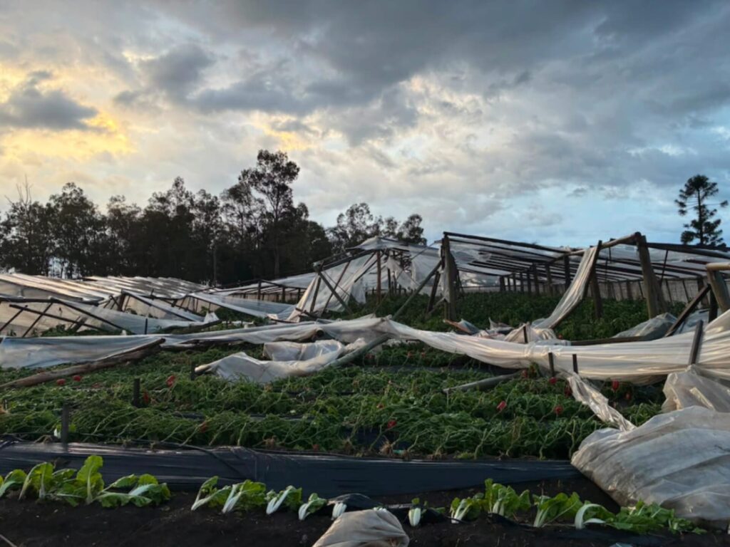 El Gobierno Nacional decretó la Emergencia Agropecuaria en Salto