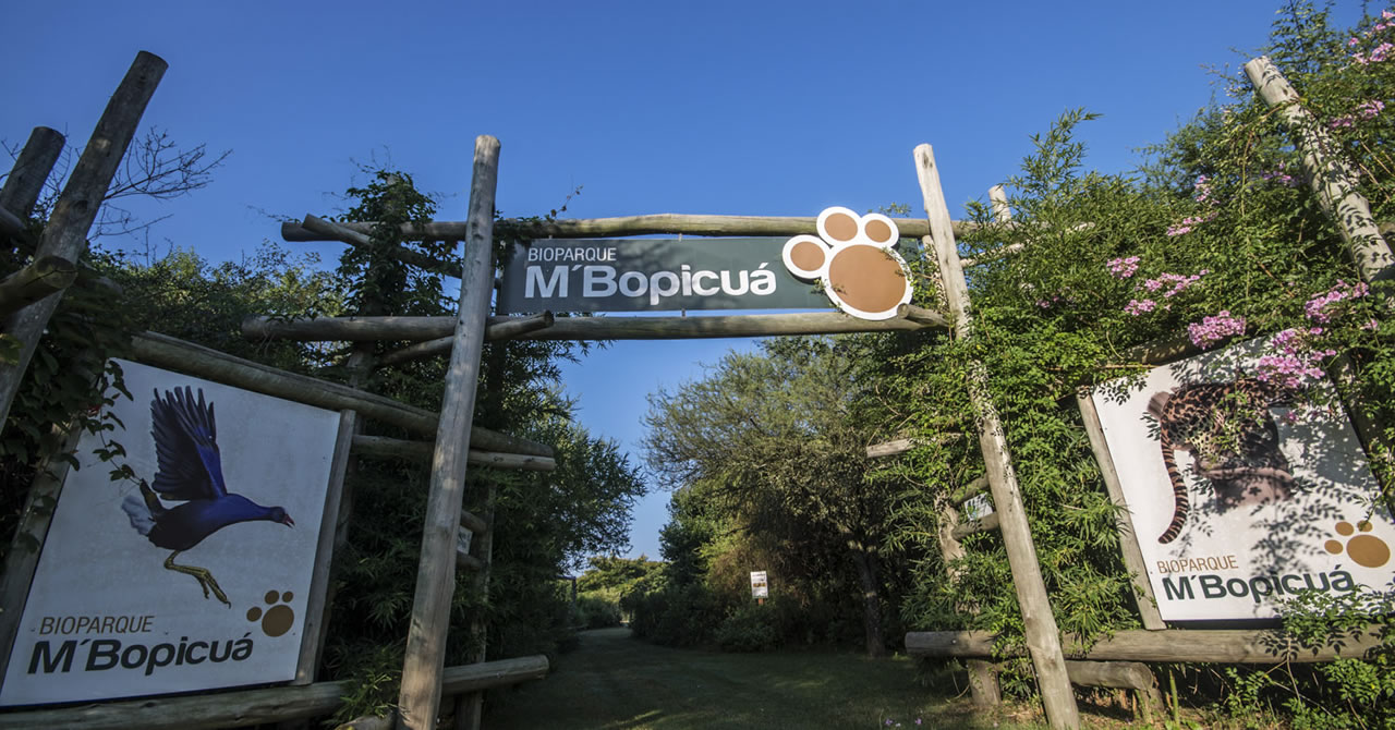 Se prorrogó por un año el fideicomiso por el predio de M'Bopicuá