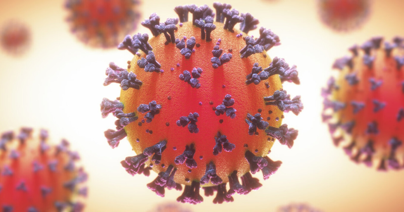 Actualización de noticias sobre la pandemia al 23 de diciembre de 2020