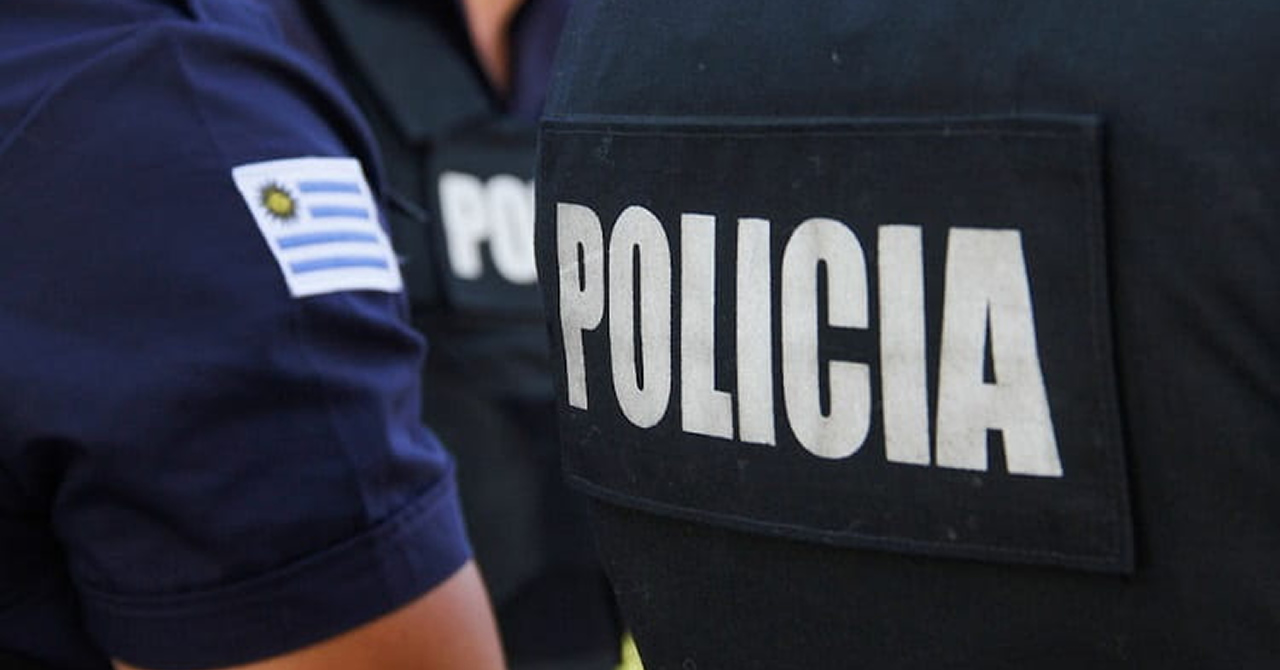 Bajan delitos de hurto, abigeato y violencia doméstica en Río Negro