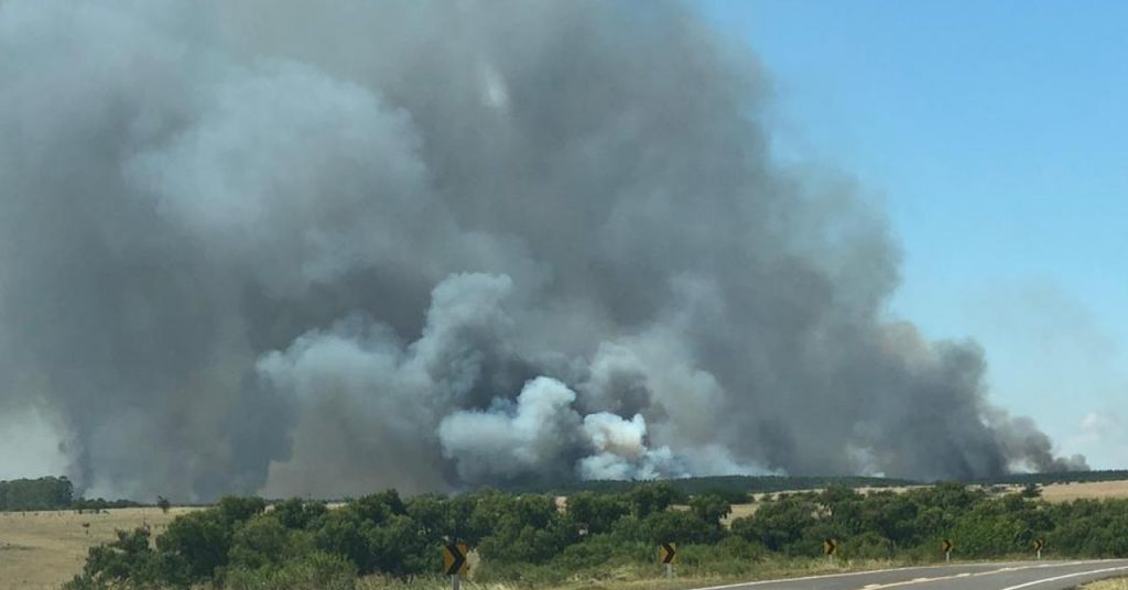Tres helicópteros combaten incendio de extrema gravedad cercano a Algorta