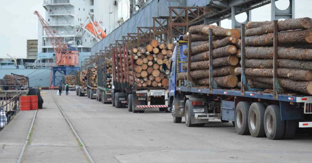 "La región sufre un decrecimiento de exportaciones de madera y cereales"