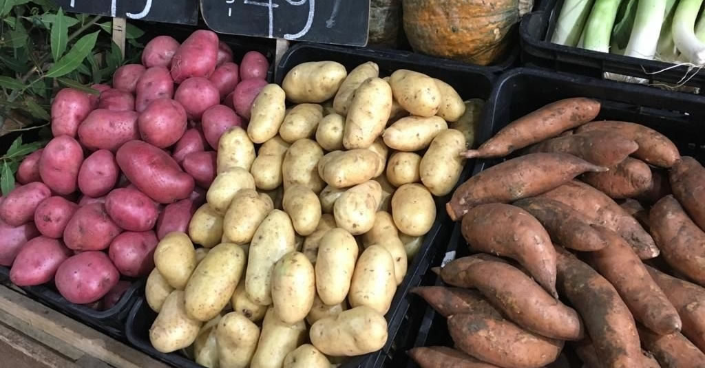 Comenzó a llegar papa importada de Brasil