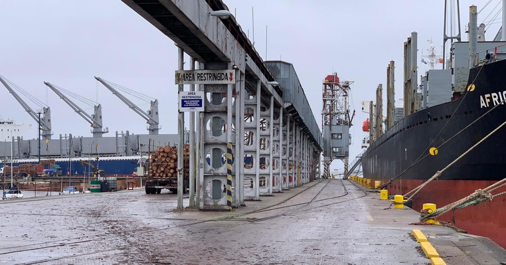 Segundo embarque de rolos de pinos a India desde Fray Bentos