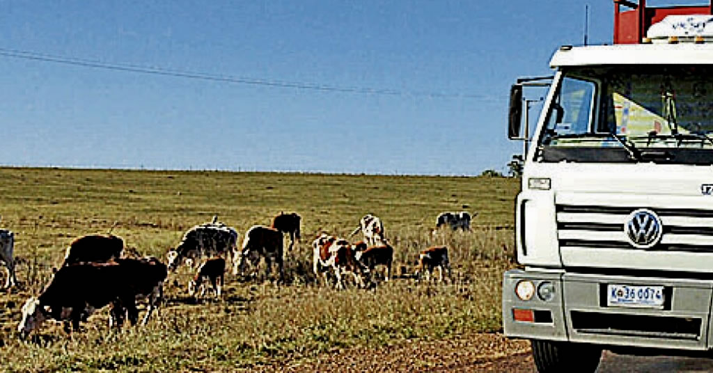 Intendencia denunció a transportista por rotura de caminería