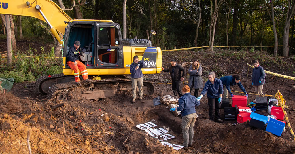 Las dos características únicas de los restos hallados en el Batallón 14