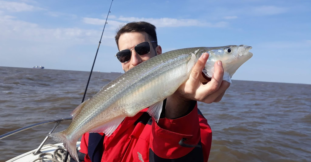 Primer concurso de pesca de Pejerrey
