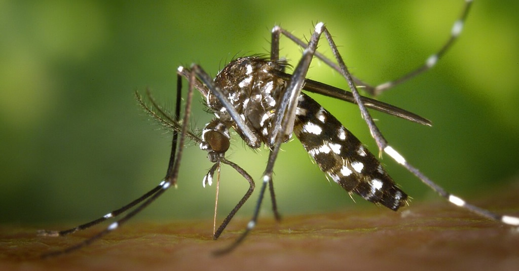 Inauguran centro de referencia para combatir al Aedes Aegypti